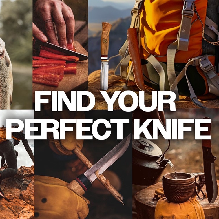 Camping Knives: Where to Use Which Type of Knife?